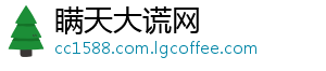 瞒天大谎网