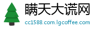 瞒天大谎网